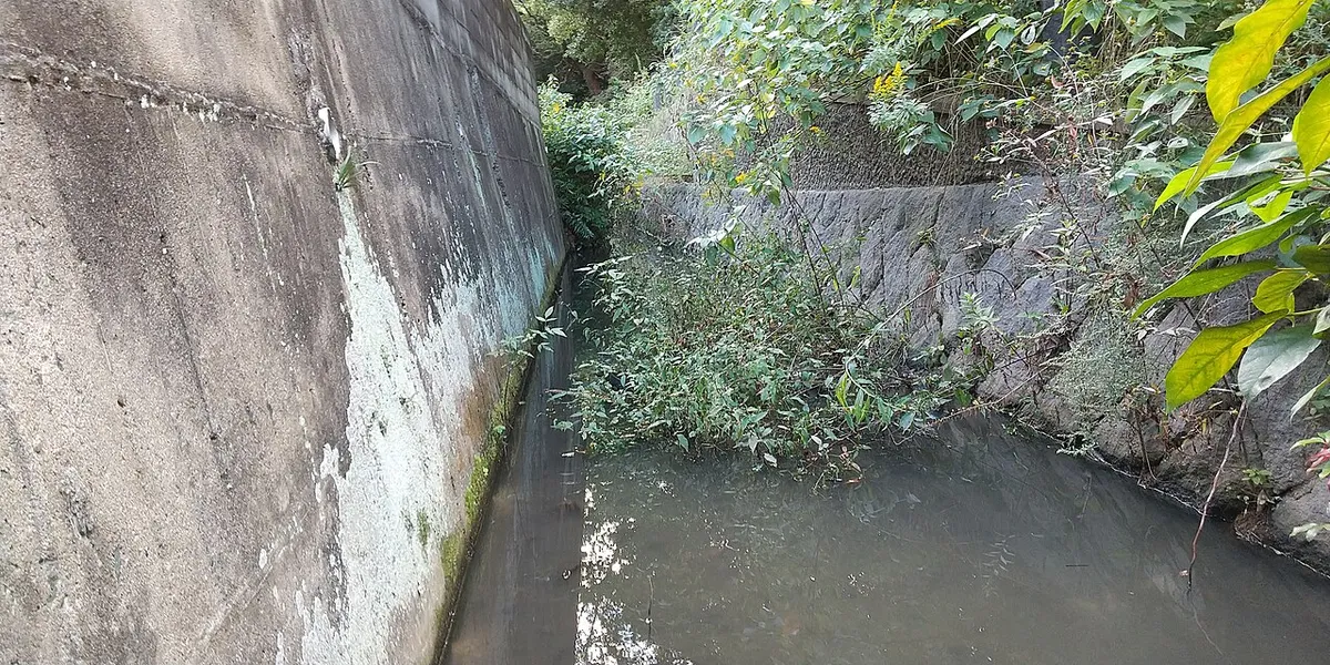 Fukuoka Castle (福岡城)