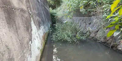 Fukuoka Castle