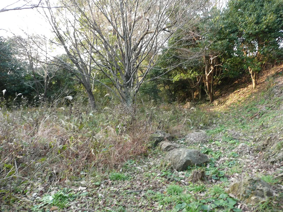 Hamada Castle (浜田城)