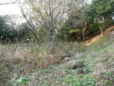 Hamada Castle