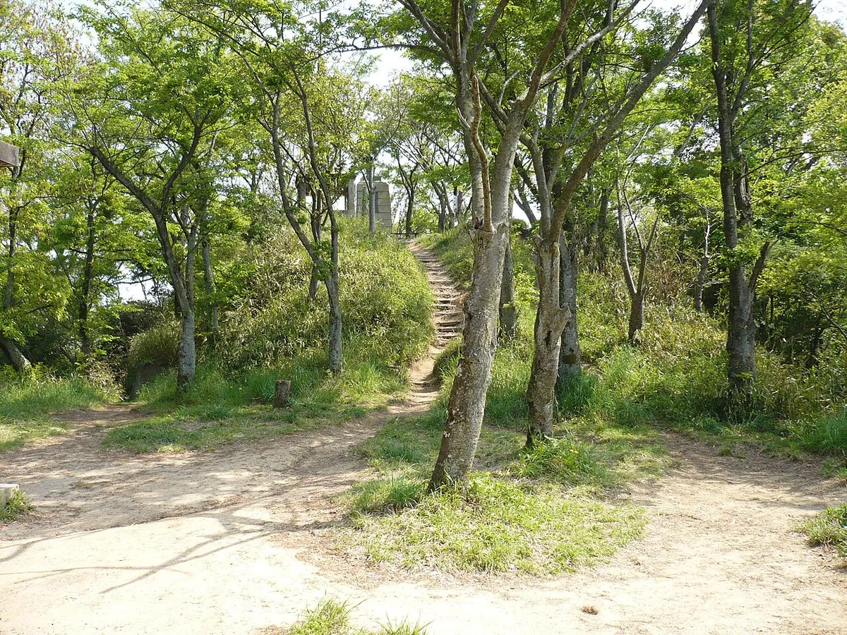 Iimori Castle (飯盛城)