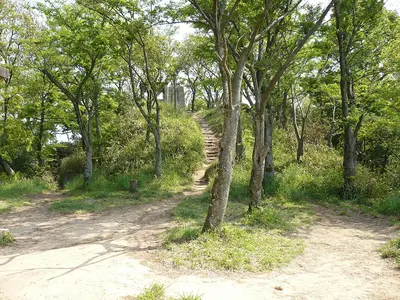 Iimori Castle