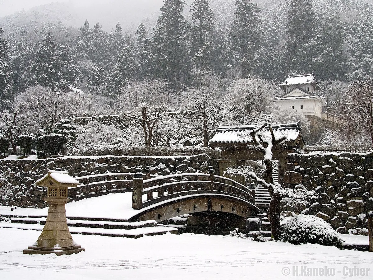 Izushi Castle (出石城)