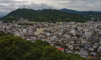 Kawanoe Castle