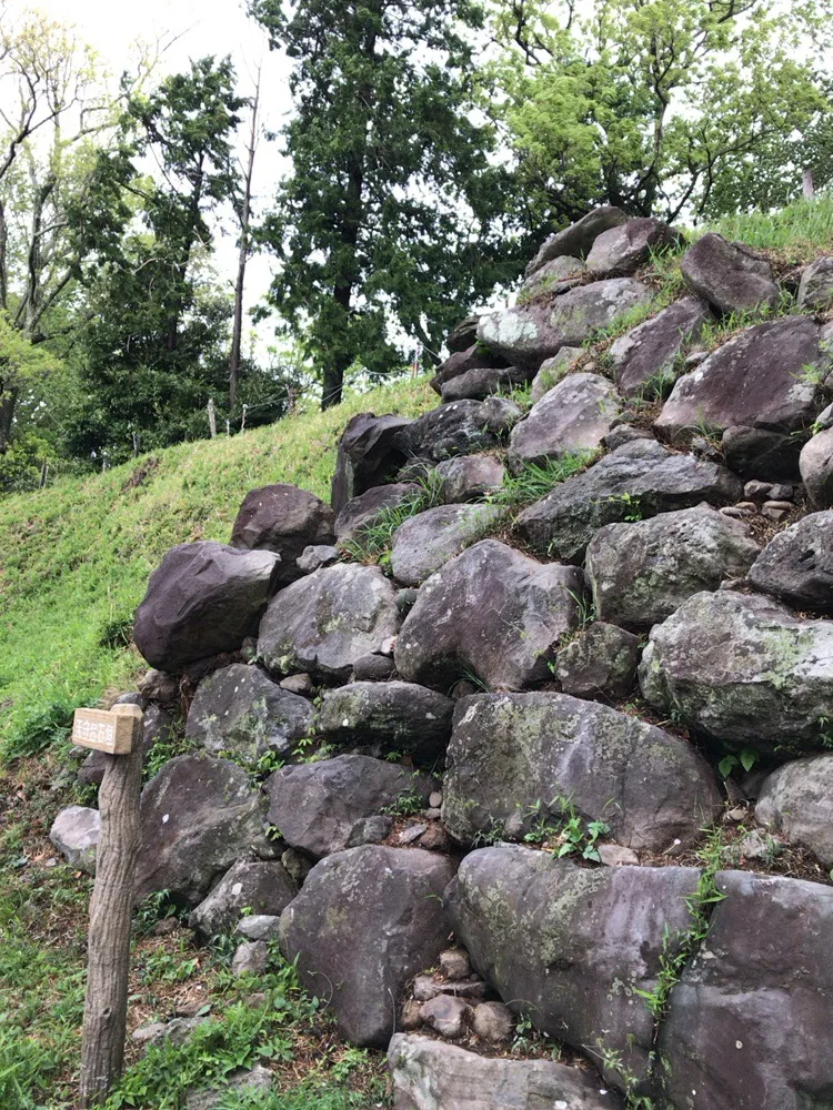 Kokokuji Castle (興国寺城)
