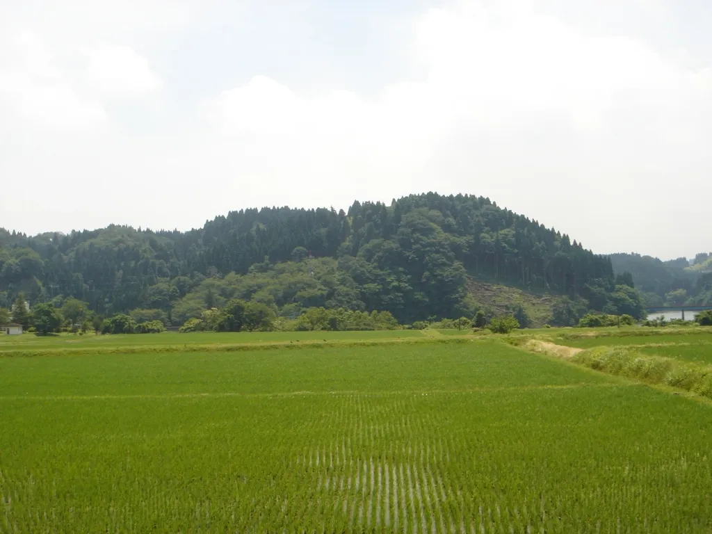 Masuyama Castle (増山城)