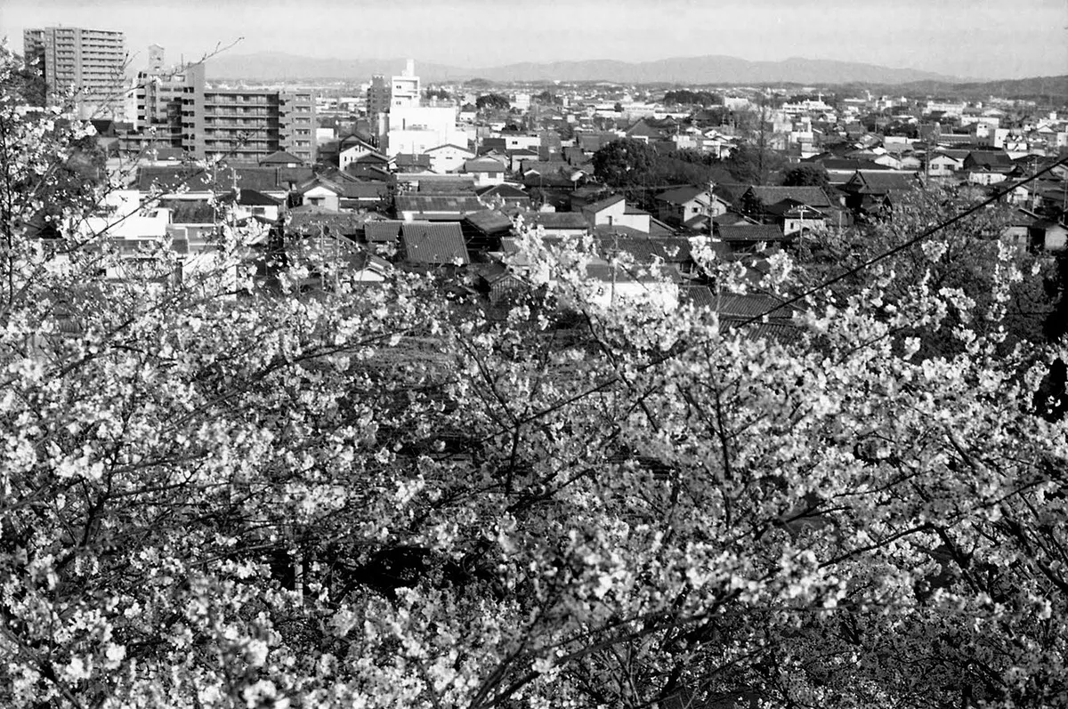 Matsuzaka Castle (松阪城)