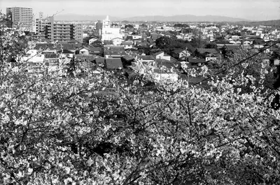 Matsuzaka Castle