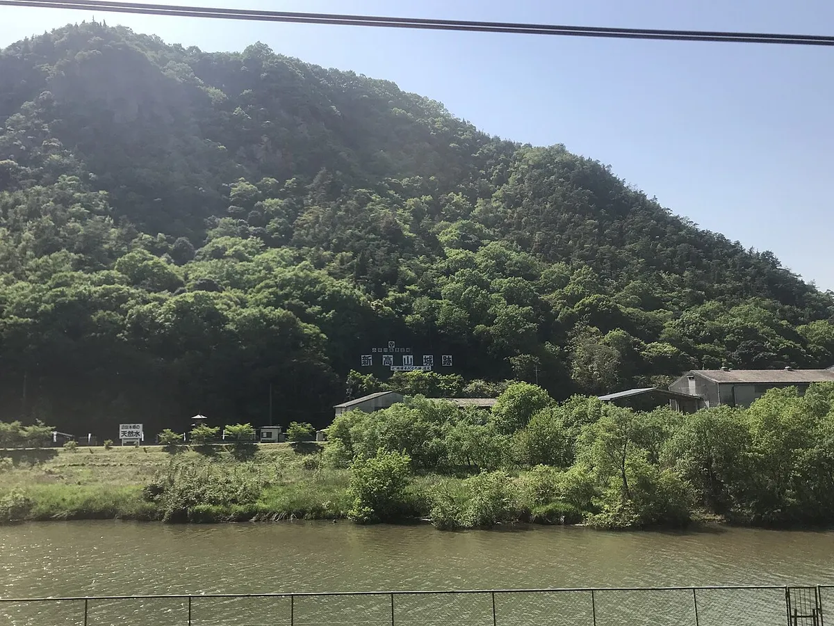 Niiyama Castle (新高山城)