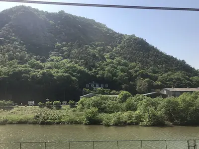 Niiyama Castle