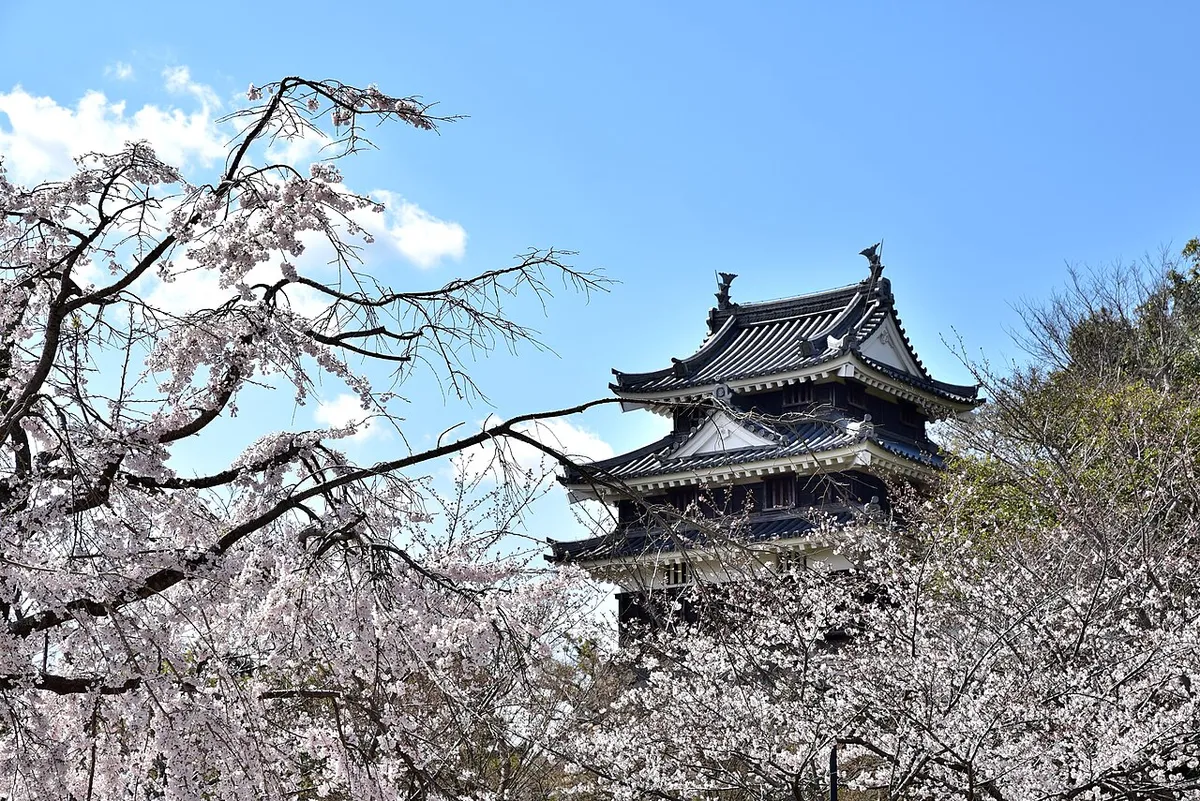 Nishio Castle (西尾城)