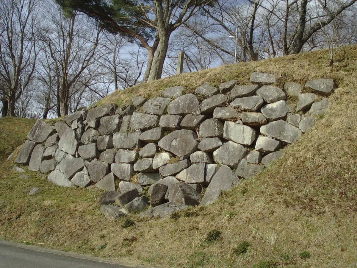 Obama Castle (小浜城)