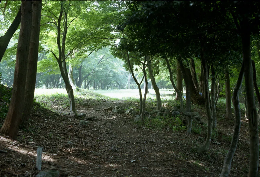 Odani Castle (小谷城)