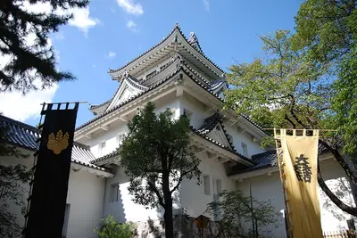 Ogaki Castle