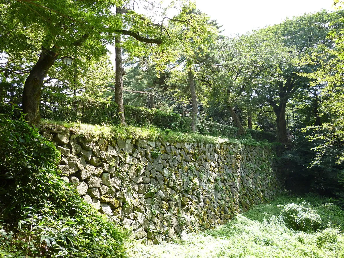 Takaoka Castle (高岡城)