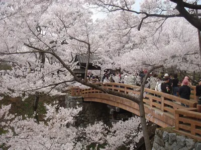 Takato Castle