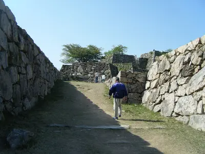 Takeda Castle