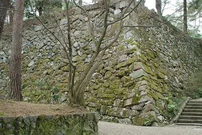 Tamba-Kameyama Castle