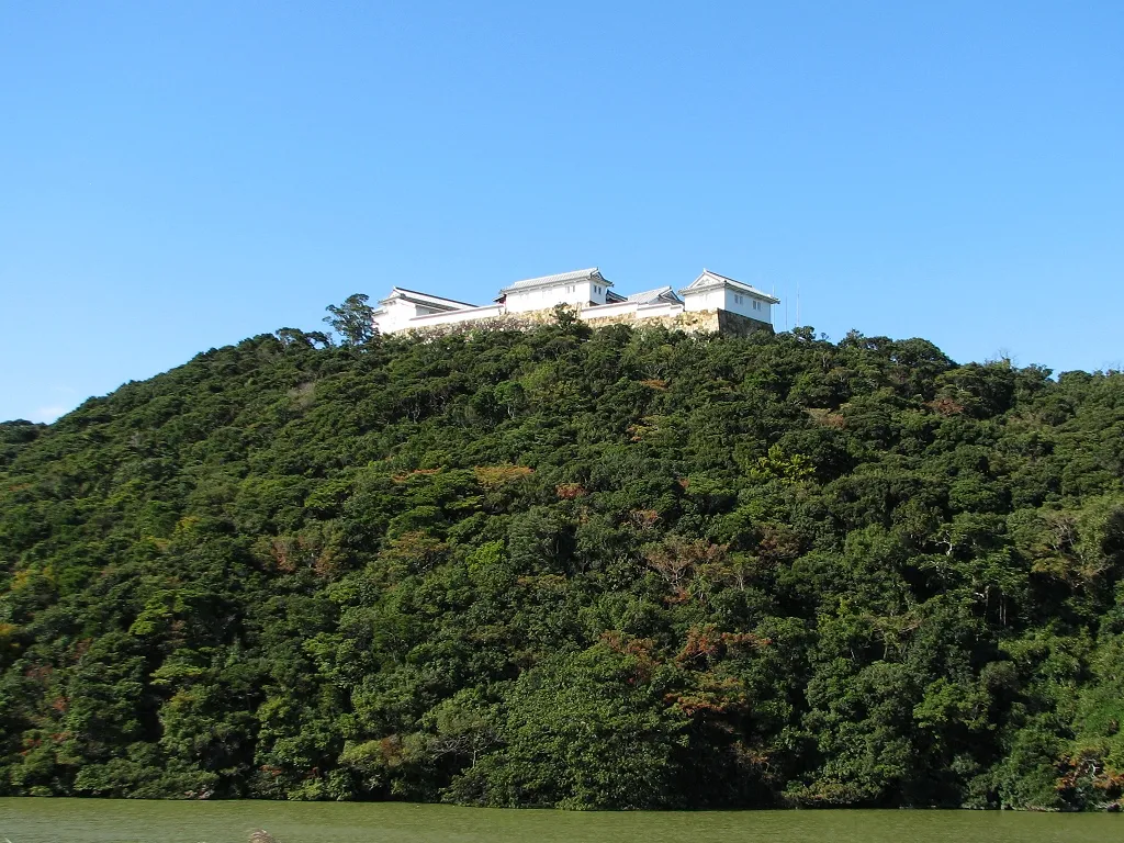 Tomioka Castle (富岡城)