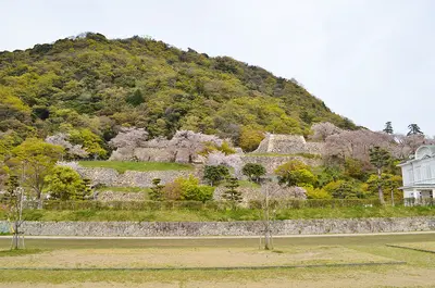 Tottori Castle
