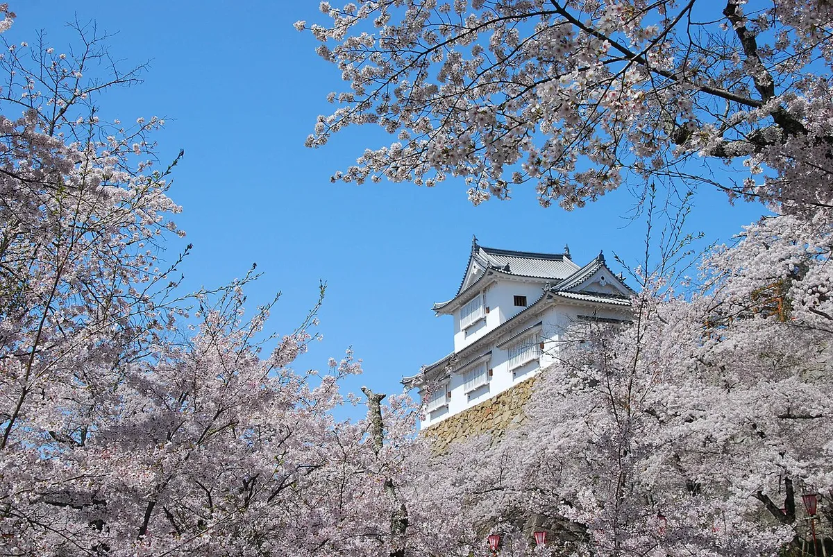 Tsuyama Castle (津山城)