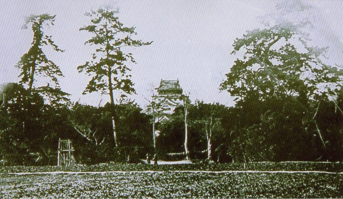 Yanagawa Castle (柳川城)